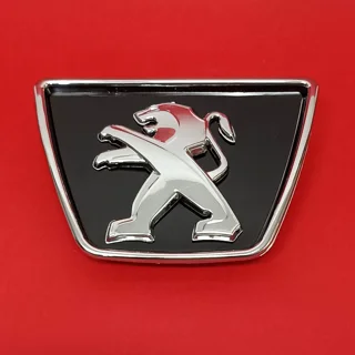 لوگوی جلوپنجره پژو 405